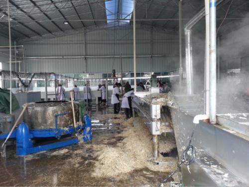 ���׈��O����������׈����w�O����ղ��